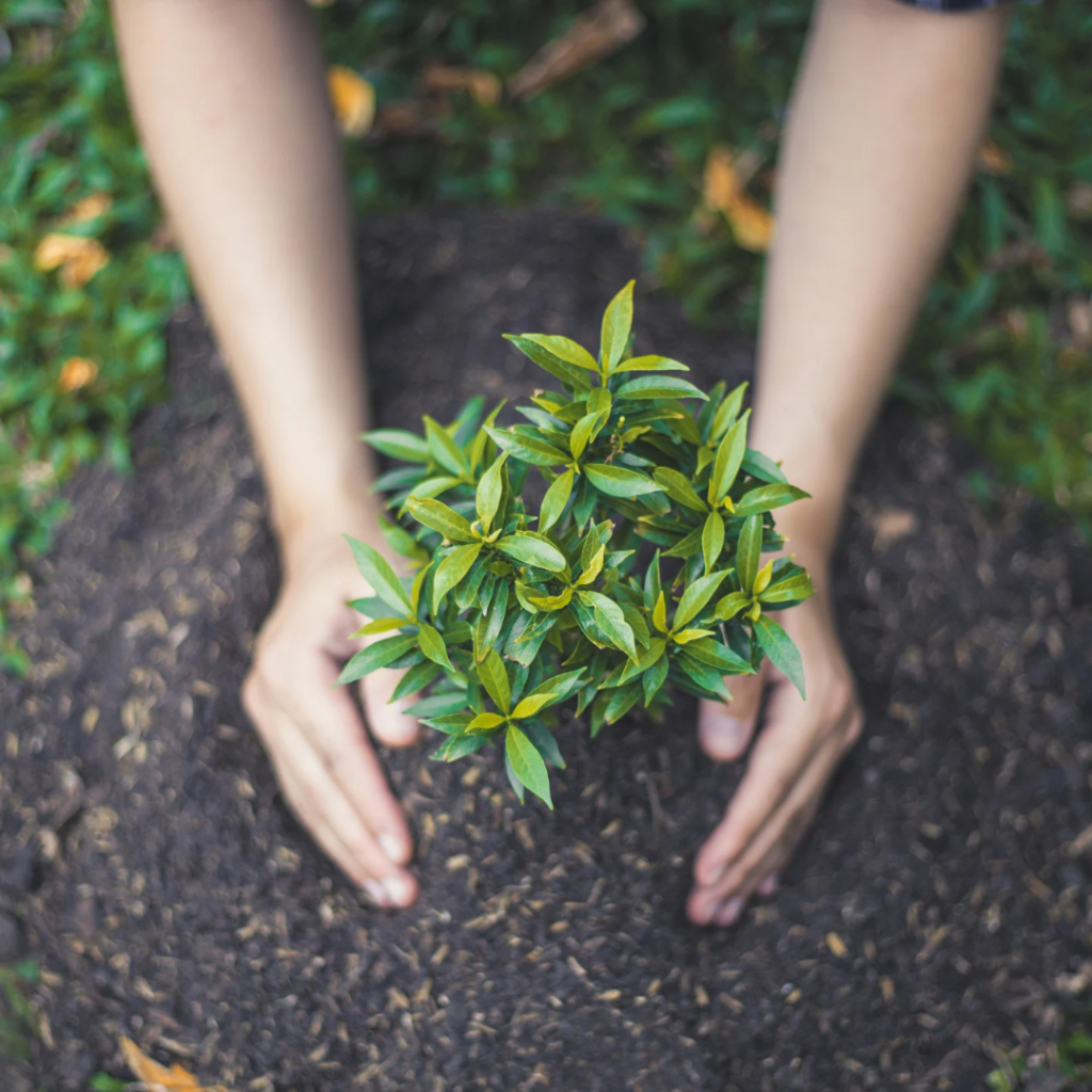 kompostowanie odpadów zielonych